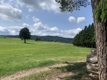 Zdjęcie z Karl 6String wzdłuż trasy