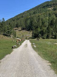 Photo de Wernher Messenböck le long du parcours