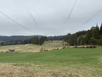 Photo de Gisbert Hahn le long du parcours