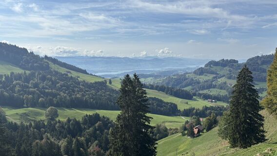 Foto von Jill entlang der Tour
