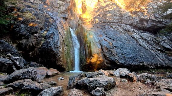 Zdjęcie z Regina Fleischmann wzdłuż trasy