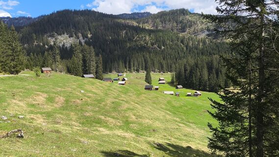 Photo de WilliSt le long du parcours