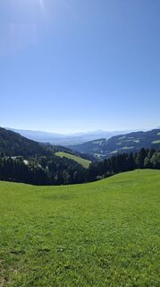 Fotografia z Manfred Scherz na trase