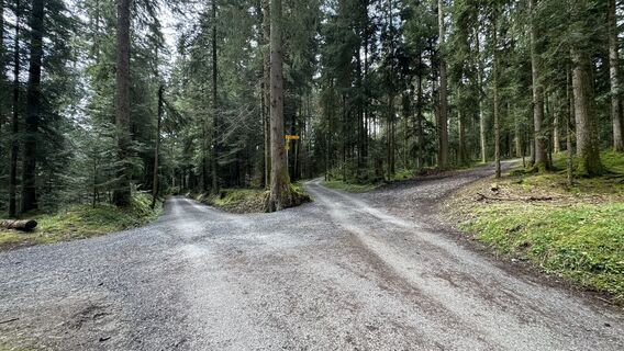 Foto von peter_oe entlang der Tour
