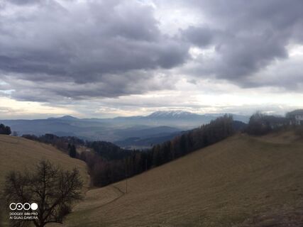 Fotografia z Gerald Lipouschek na trase