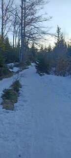 Foto de ketup a lo largo del recorrido