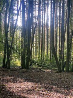 Fotografija s spletne strani Dagmar Gaertner na poti