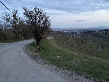 Foto von Manuel L. entlang der Tour