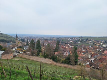 Photo de Katharina le long du parcours