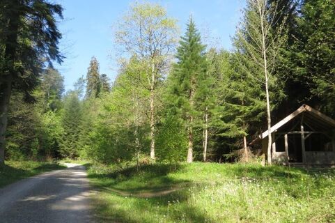 Querung des alten Römerwegs