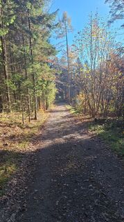 Fotografia z Günter Stelzmüller na trase