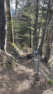 Fotografija s spletne strani firobad na poti