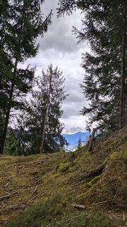 Foto von Norbert Hofmann entlang der Tour