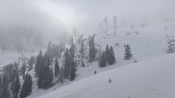Foto från Klaus Lehner under resans gång
