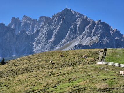 Photo de Coma le long du parcours