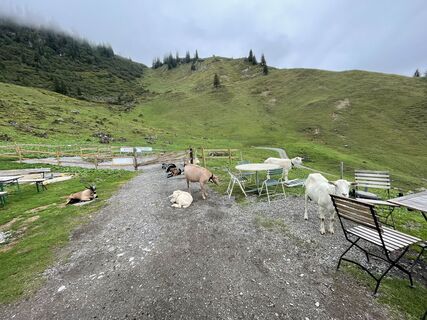 Fotografia z Steffen Baumann na trase