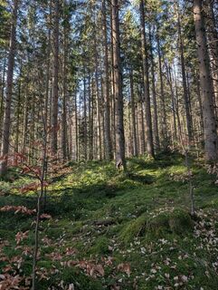 Photo de Juan Tafurth le long du parcours