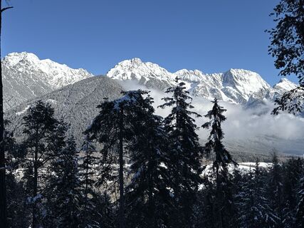 Foto von Grizzli entlang der Tour