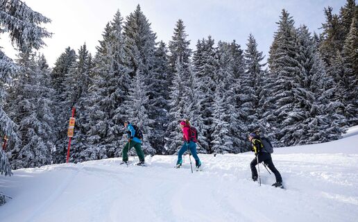 SKI_STJOH©MG_327 kopie klein.jpg