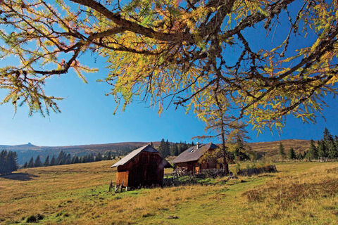 Saualpe