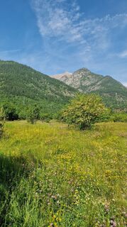 Foto de Fabrizi Mellano a lo largo del recorrido