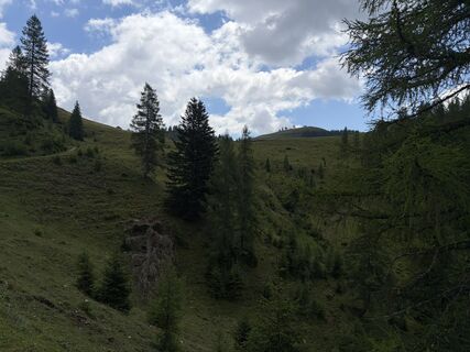 Photo de Ines Köhler le long du parcours