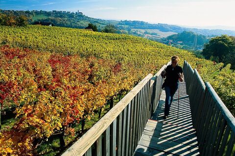 Am Weinweg der Sinne