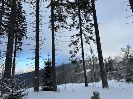 Foto von Dani Geiger / Natur_erleben_dg entlang der Tour