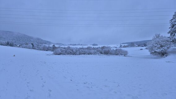 Fotografija s spletne strani Claudia Maurer na poti
