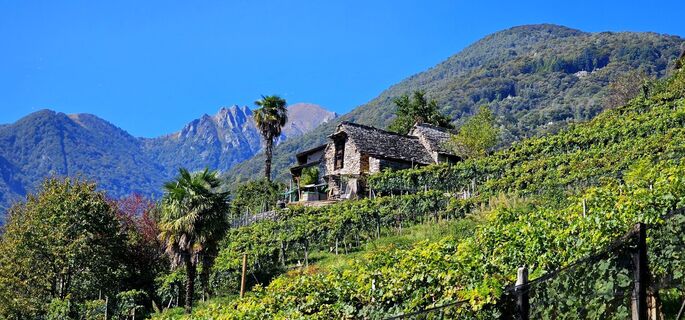 Fotografie z Sieber Christoph na trase