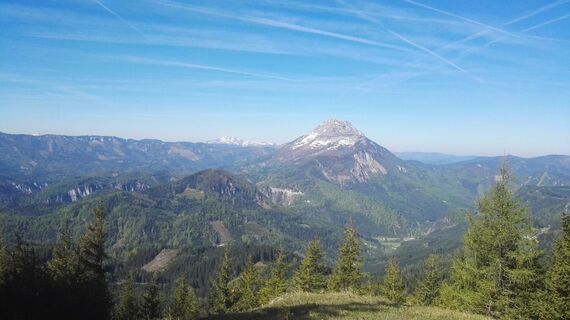 König Ötscher vom Hochstadelberg