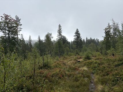 Foto fra Jako Koel undervejs på turen