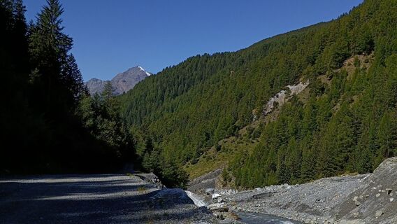 Foto de Maurizio Dell'acqua a lo largo del recorrido