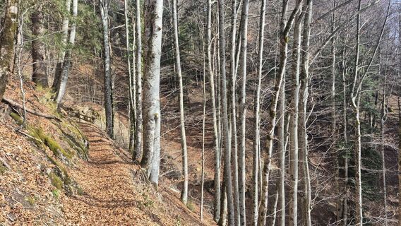 Fotografija s spletne strani Szuki76 na poti
