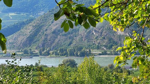 Fotografie de la Hans de-a lungul turului