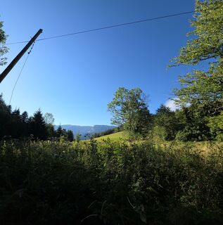 Photo de Michael Kammerer 2 le long du parcours