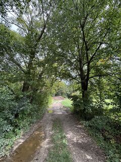 Fotografia z RS76 na trase