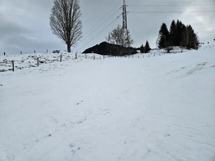 Foto von fitzingh entlang der Tour