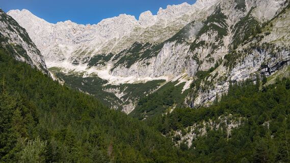 Bergleintal im Sommer