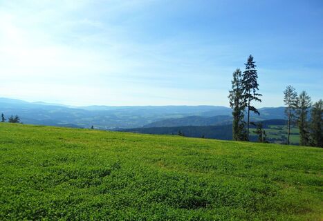 Hochtregist Pilgerkreuz – Ausblick