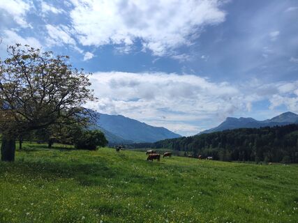 Foto von Ralf Hubrich entlang der Tour