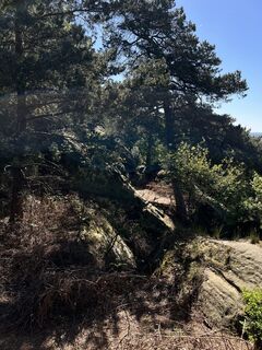 Photo de Paul le long du parcours