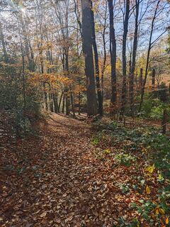 Fotografie z Björn Heun na trase