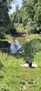 Foto von Wanderbiene entlang der Tour