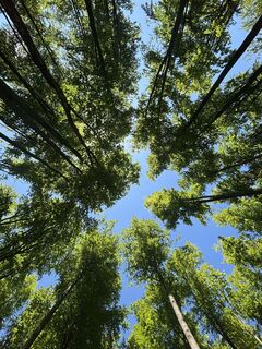 Fotó a RS76 honlapról a túra során