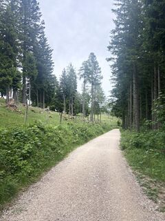 Foto von Sandra Schweiger 1 entlang der Tour