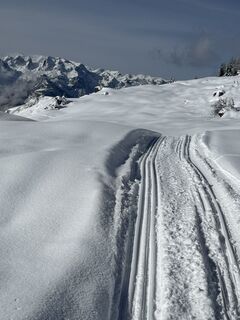 Foto von Craig Dent entlang der Tour