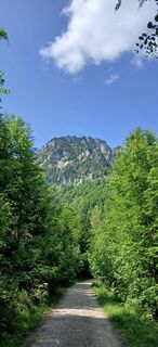 Foto von Christian Sonnleitner entlang der Tour