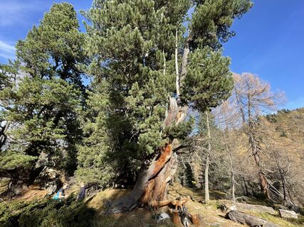 Fotografie de la Stefan Ruhringer de-a lungul turului