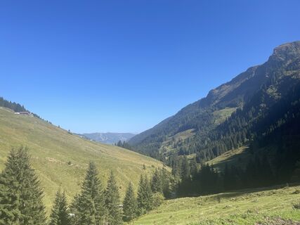 Foto von firebird 93 entlang der Tour